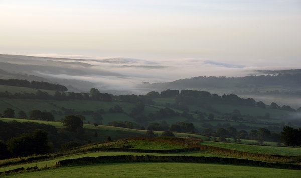 Misty Morning 2
