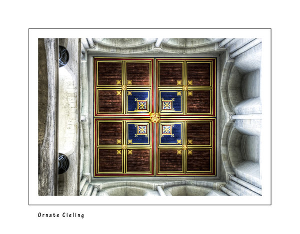 Ornate Ceiling