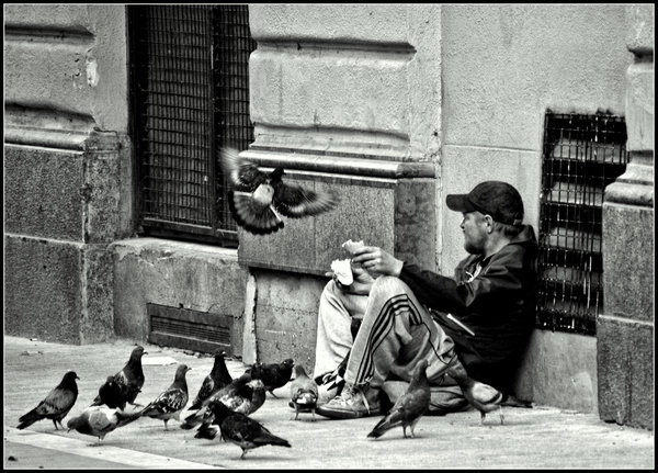 Sharing