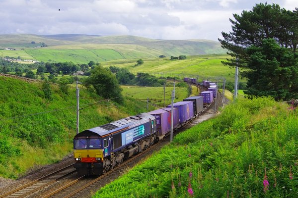 Slogging to Shap