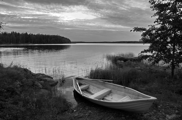The Boat