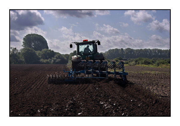 working the land