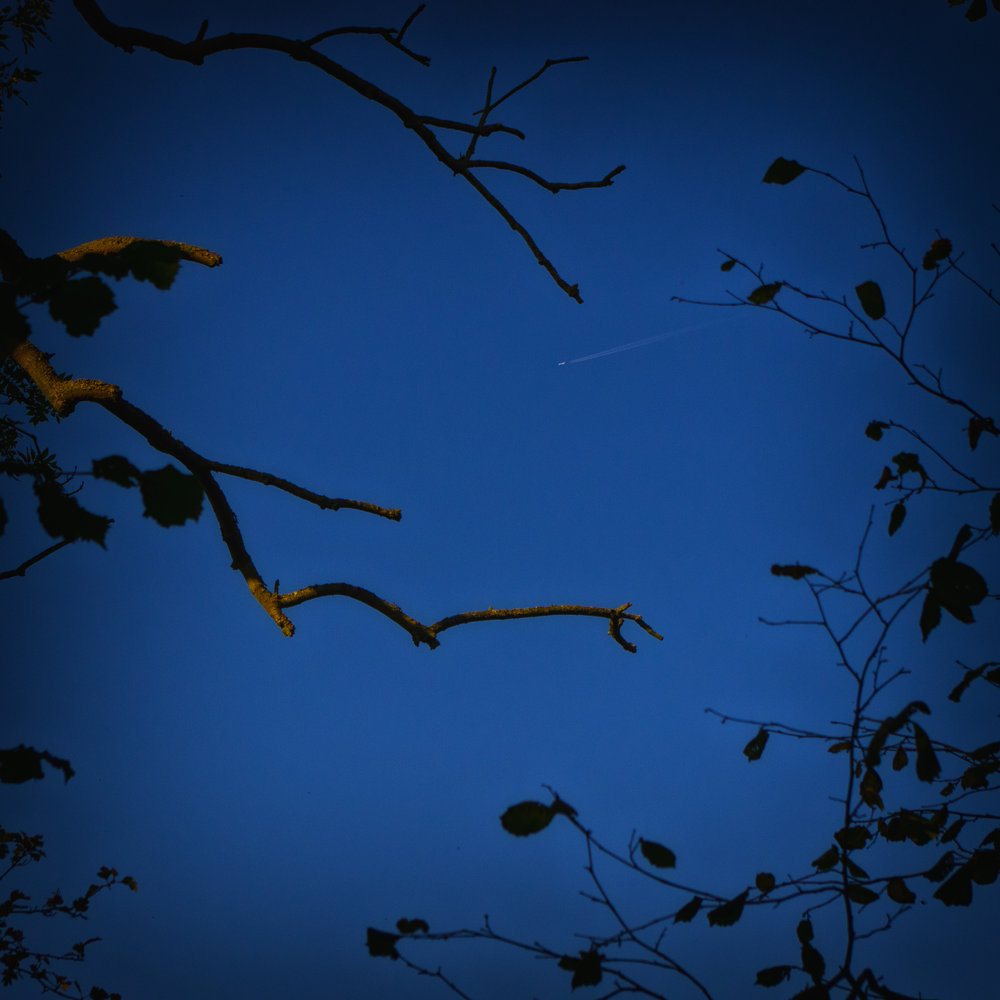 Flight
