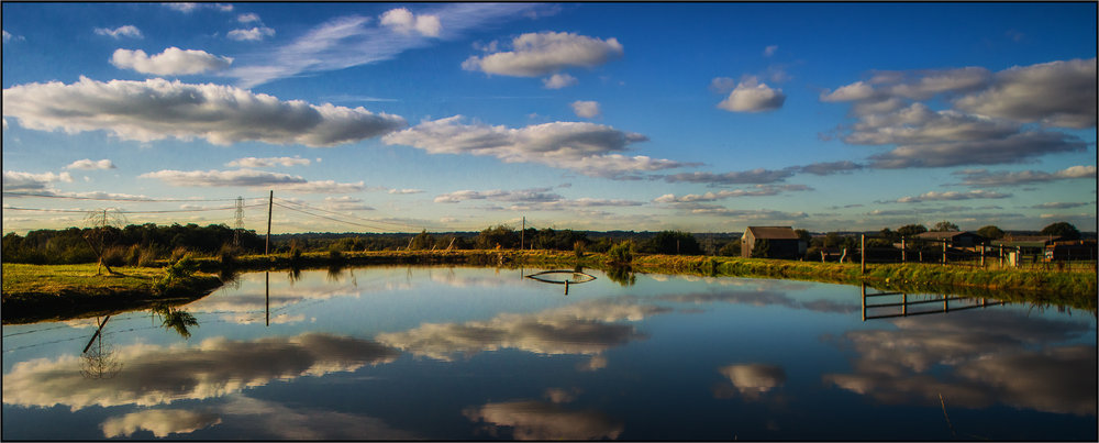 Reflections