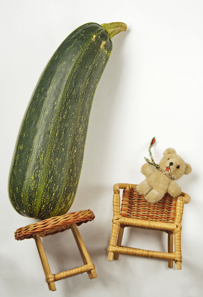 Shaken to the marrow!