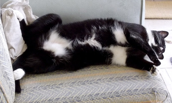 Chillin' the bulge...