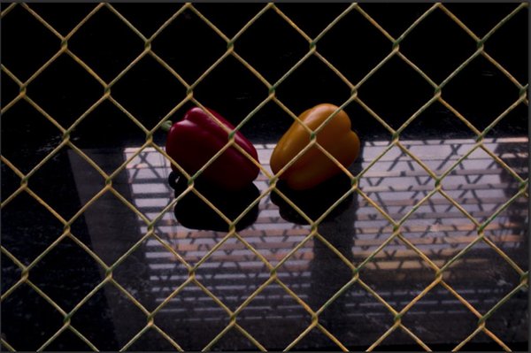 Forbidden fruit