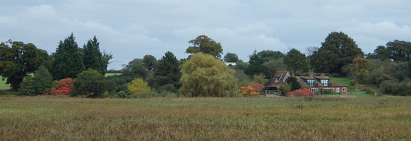 From Hen reed Bed Towards Southwold Road