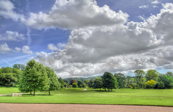 Killerton Park, Devon