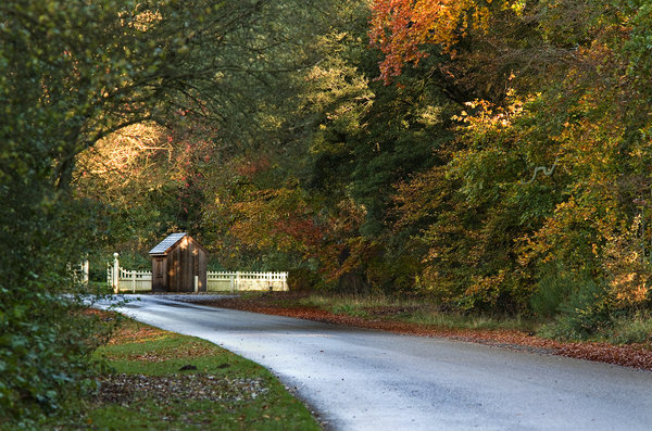 Lane to Hut & Gate