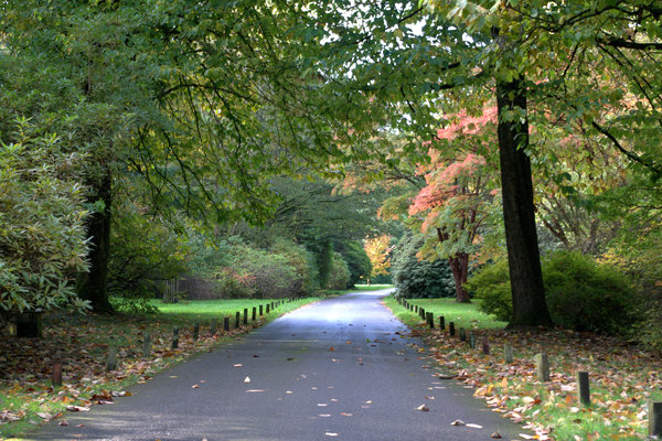 Longleat drive Autum 2012
