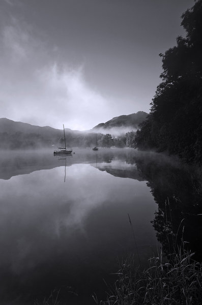 Mist on Fire - BW