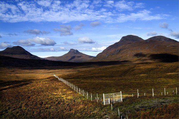 Mountain Fence