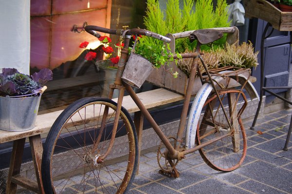 Ride this if you can!