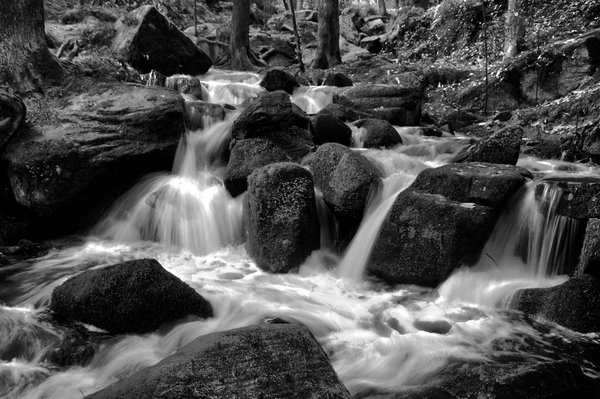 Wyming Brook