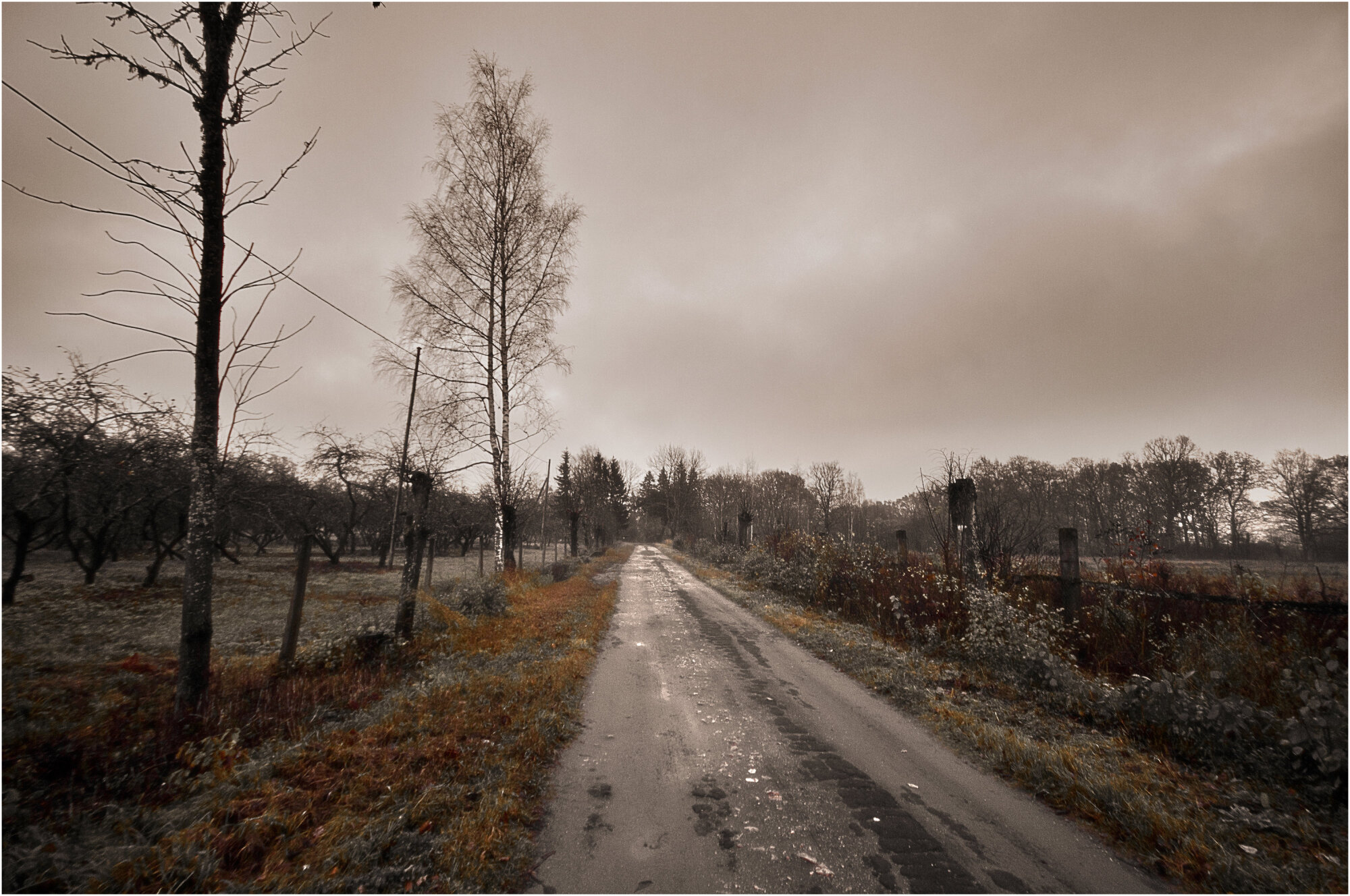 Latvia.