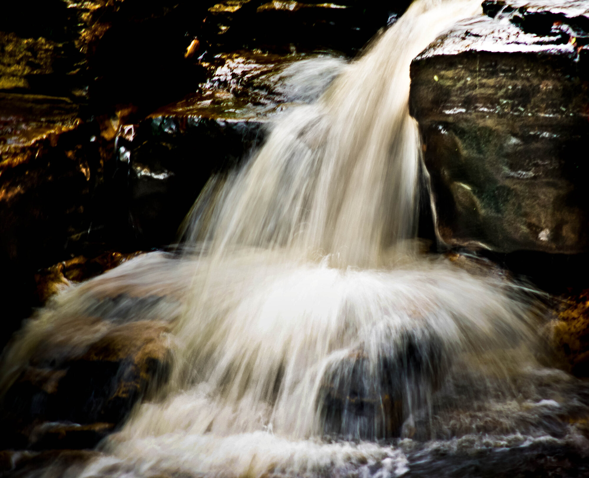River Swale Again