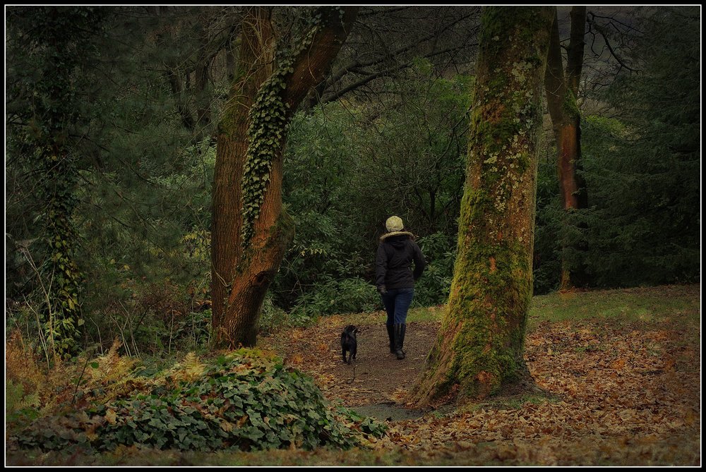 Autumn walk