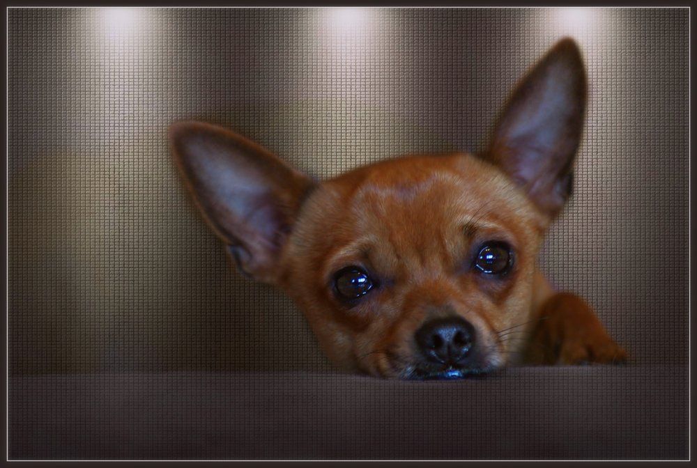 "Hello"