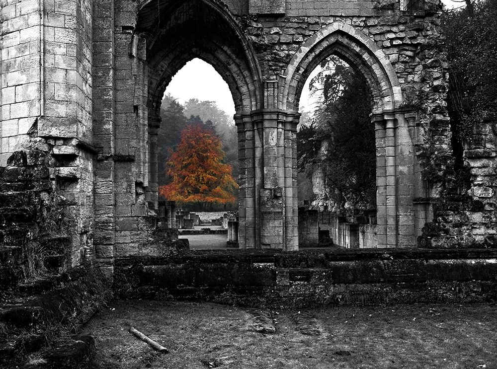 Archway to the Red Tree - BW