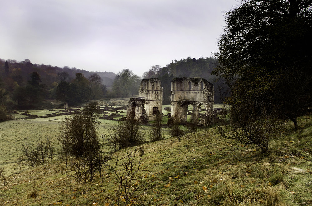 Roche Abbey from The Hill