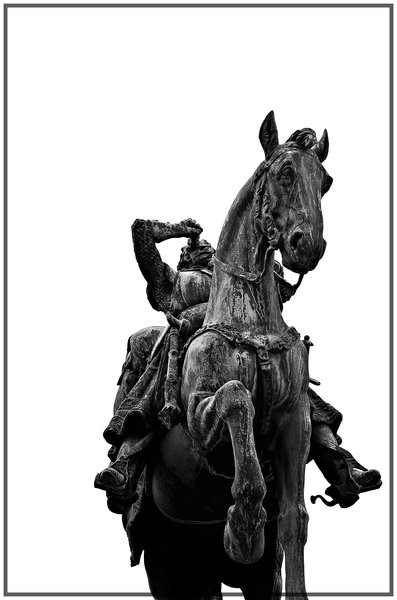 A Horse