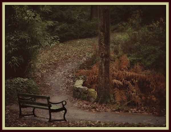 A place to sit and stare