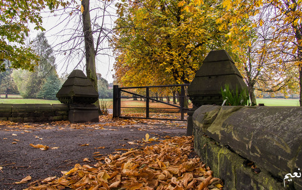 Autumn
