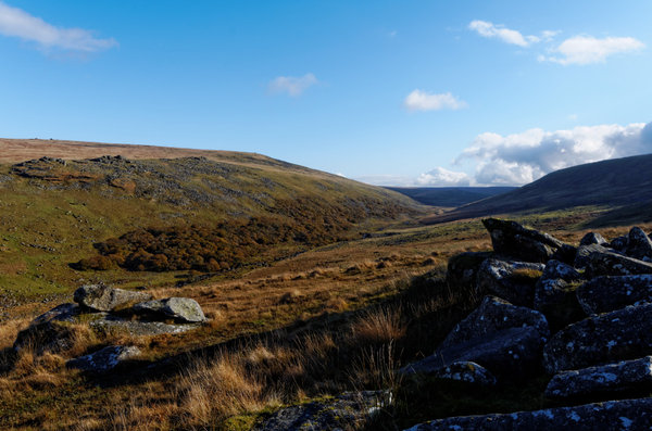 Balck a tor copse, Dartmoor