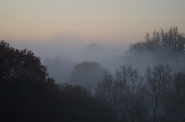 Misty Sunday sunrise