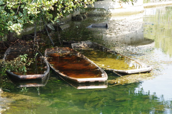 punts