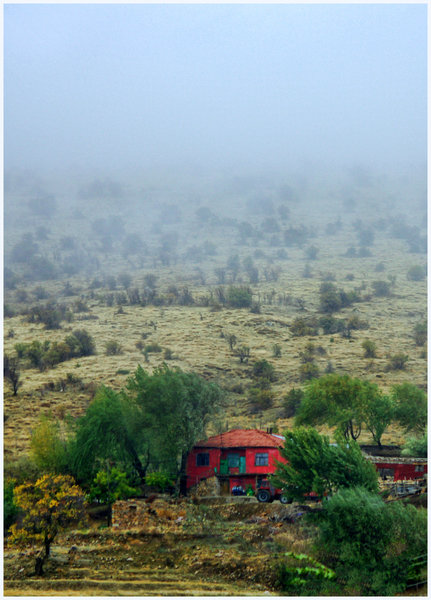 Red House