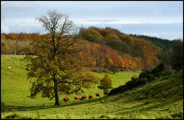 Six Wells Bottom