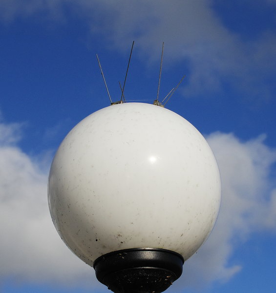 Sputnik falls to Earth
