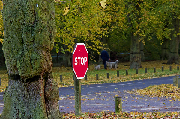 STOP!