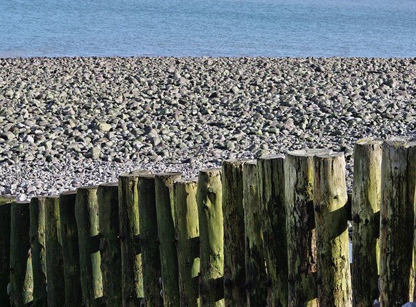Water, Stone, Wood
