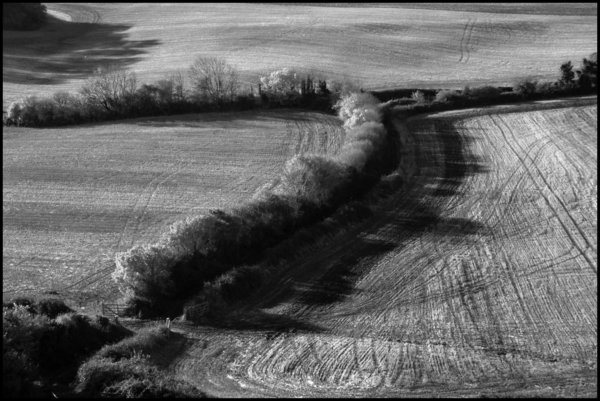 Winter Fields