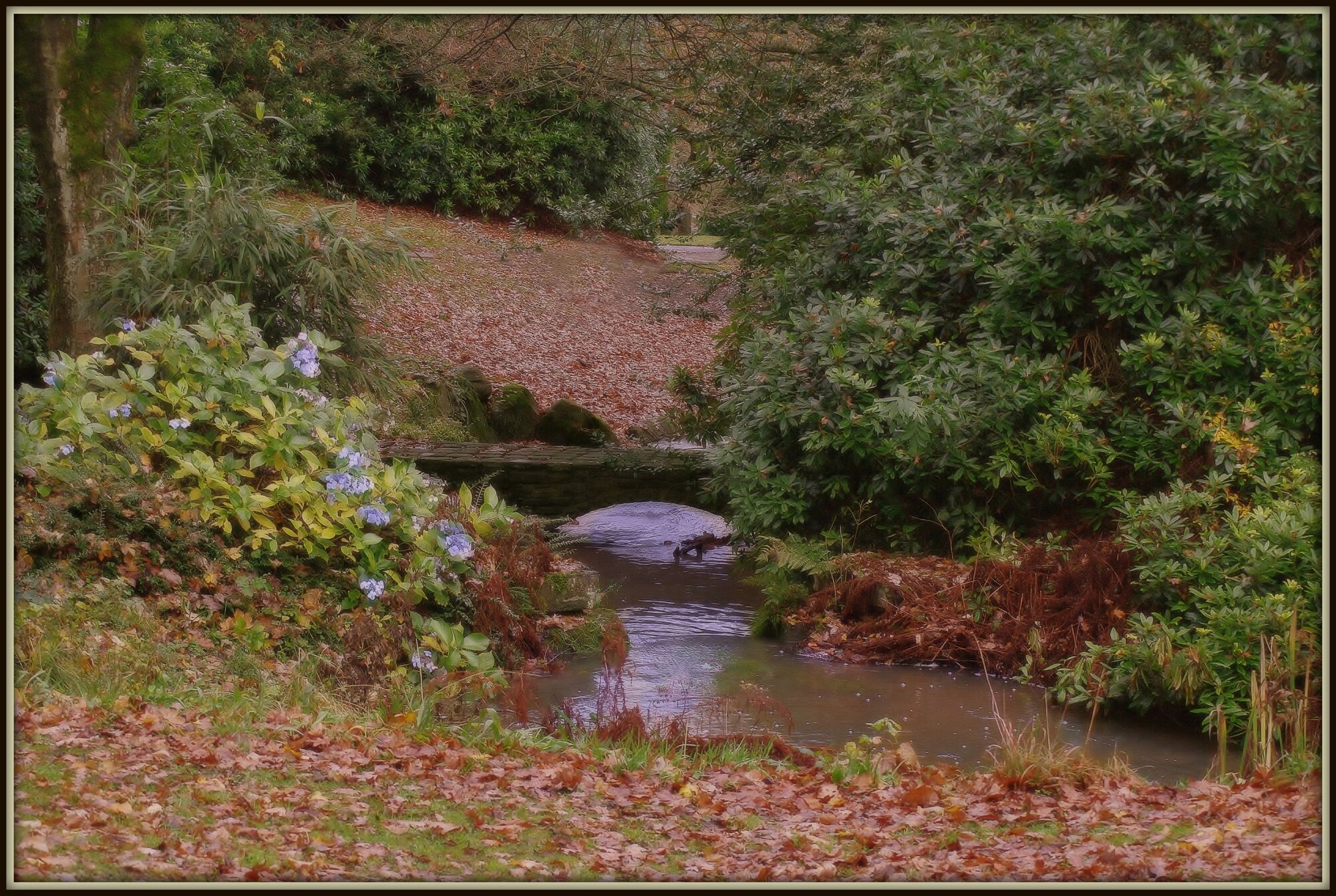Autumn feast