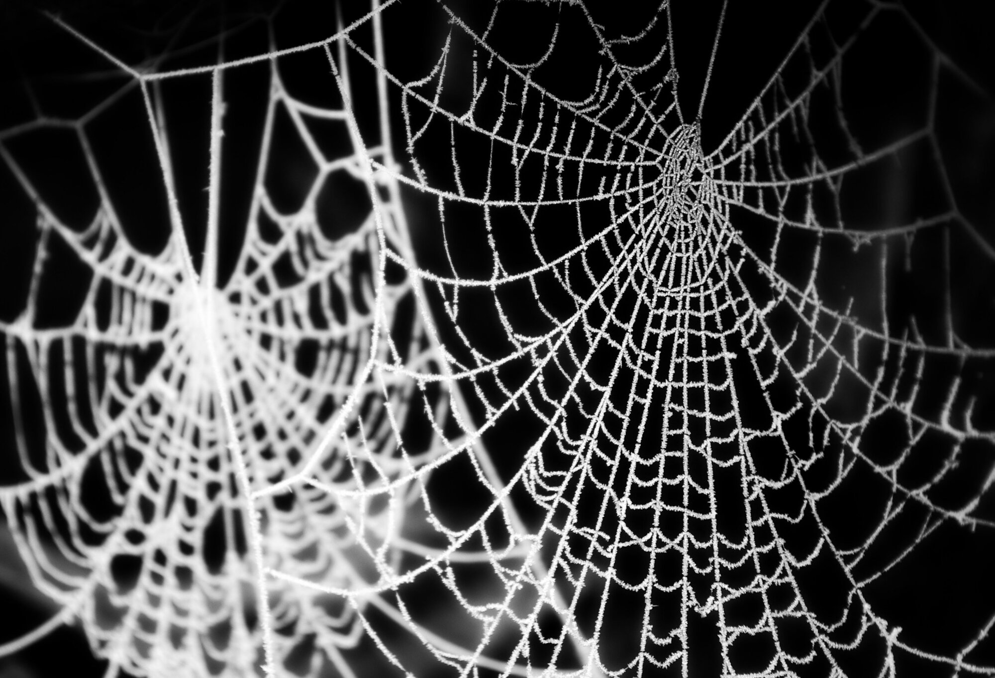Crochet Cobwebs,!