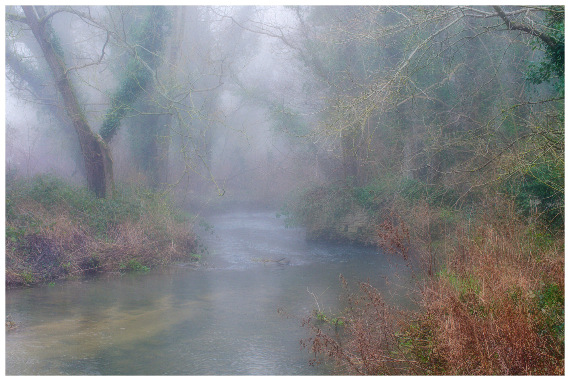 Misty River