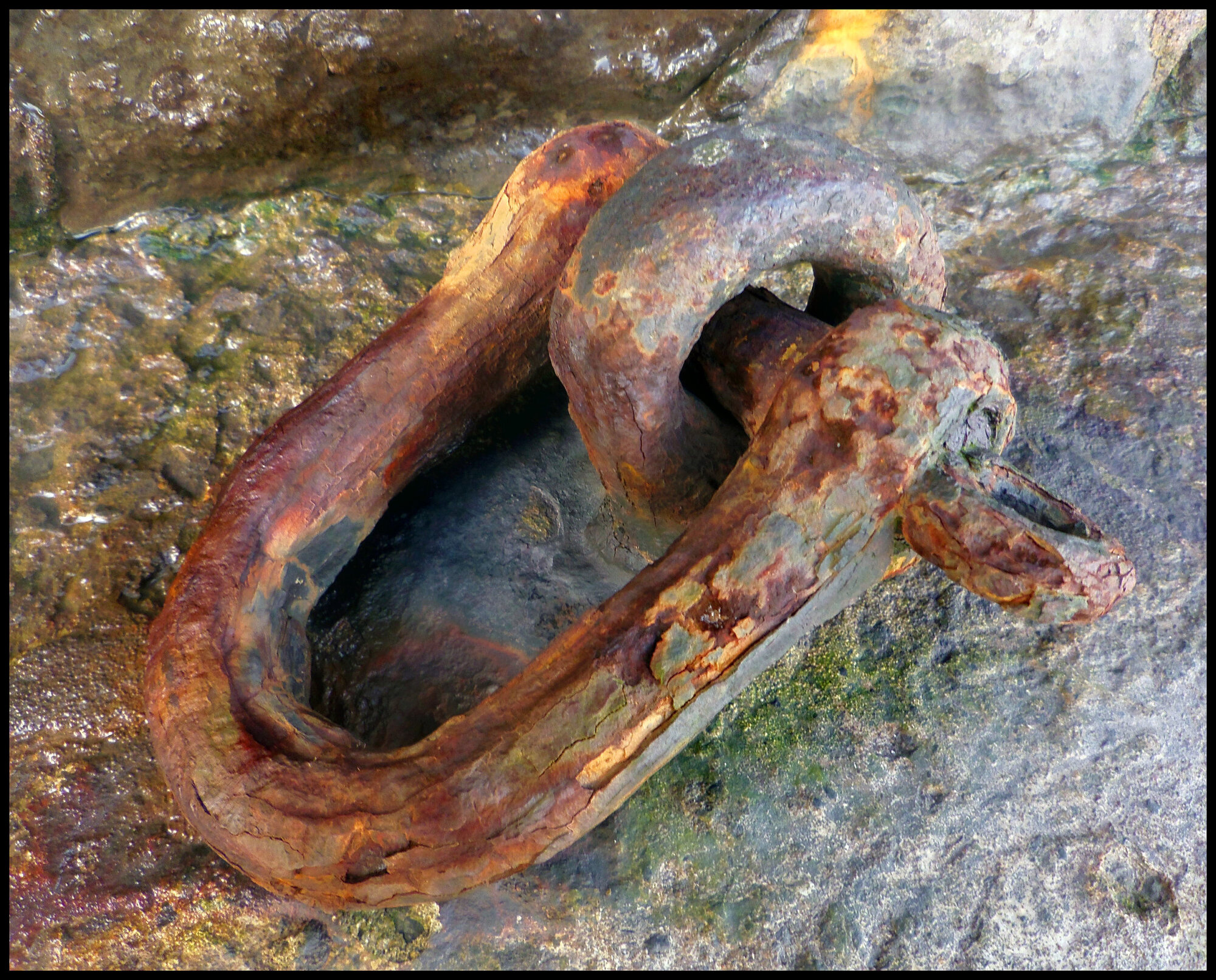 Shackle