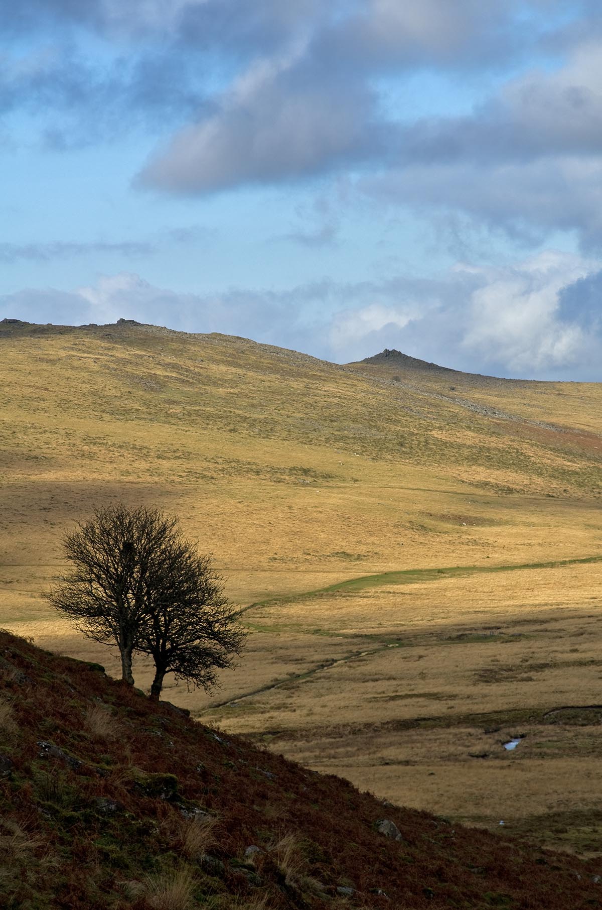 The Taw Valley, Dartmoor