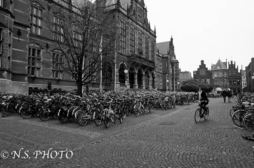 Bikes