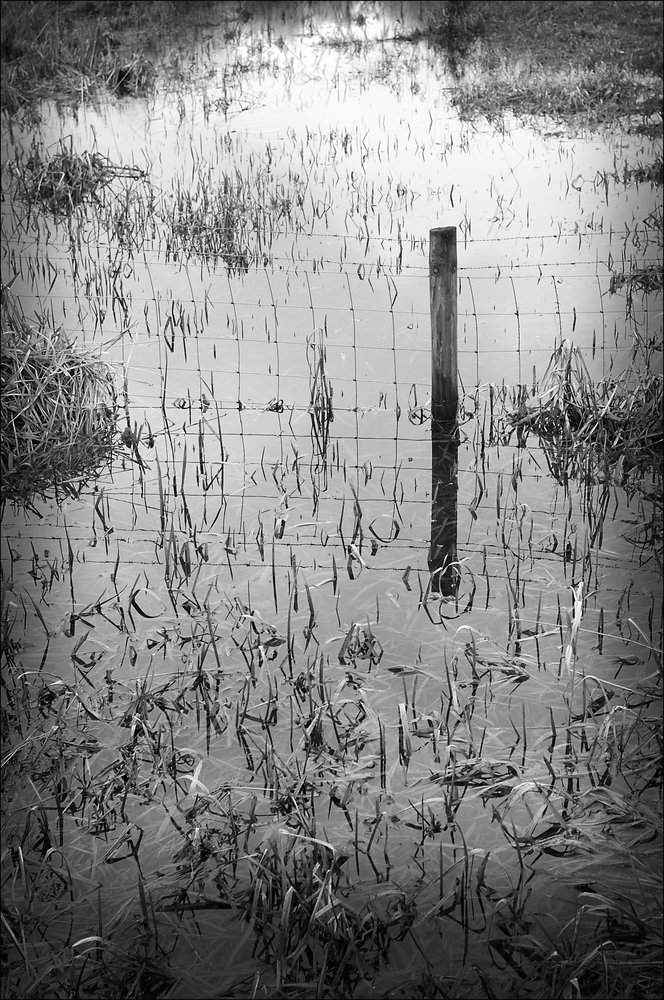 Flooded Post