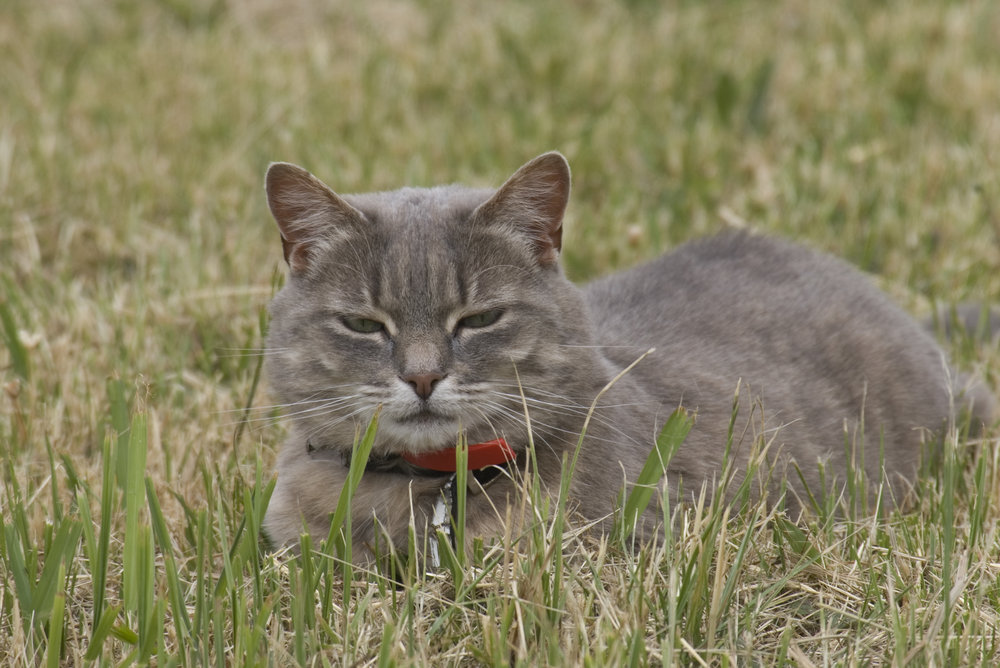 Unimpressed!