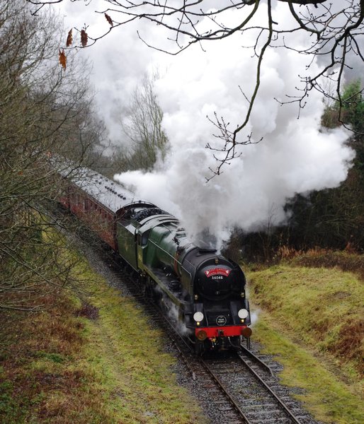 34046