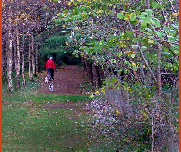 A walk in the park