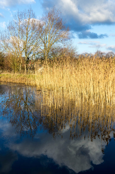 Ashby Canal