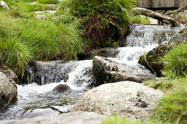 baby waterfall