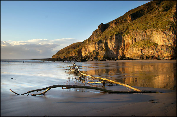 Brean Down Cliffs
